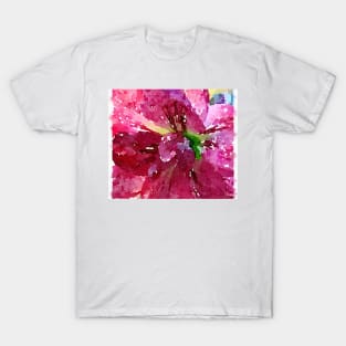 Amaryllis  print T-Shirt